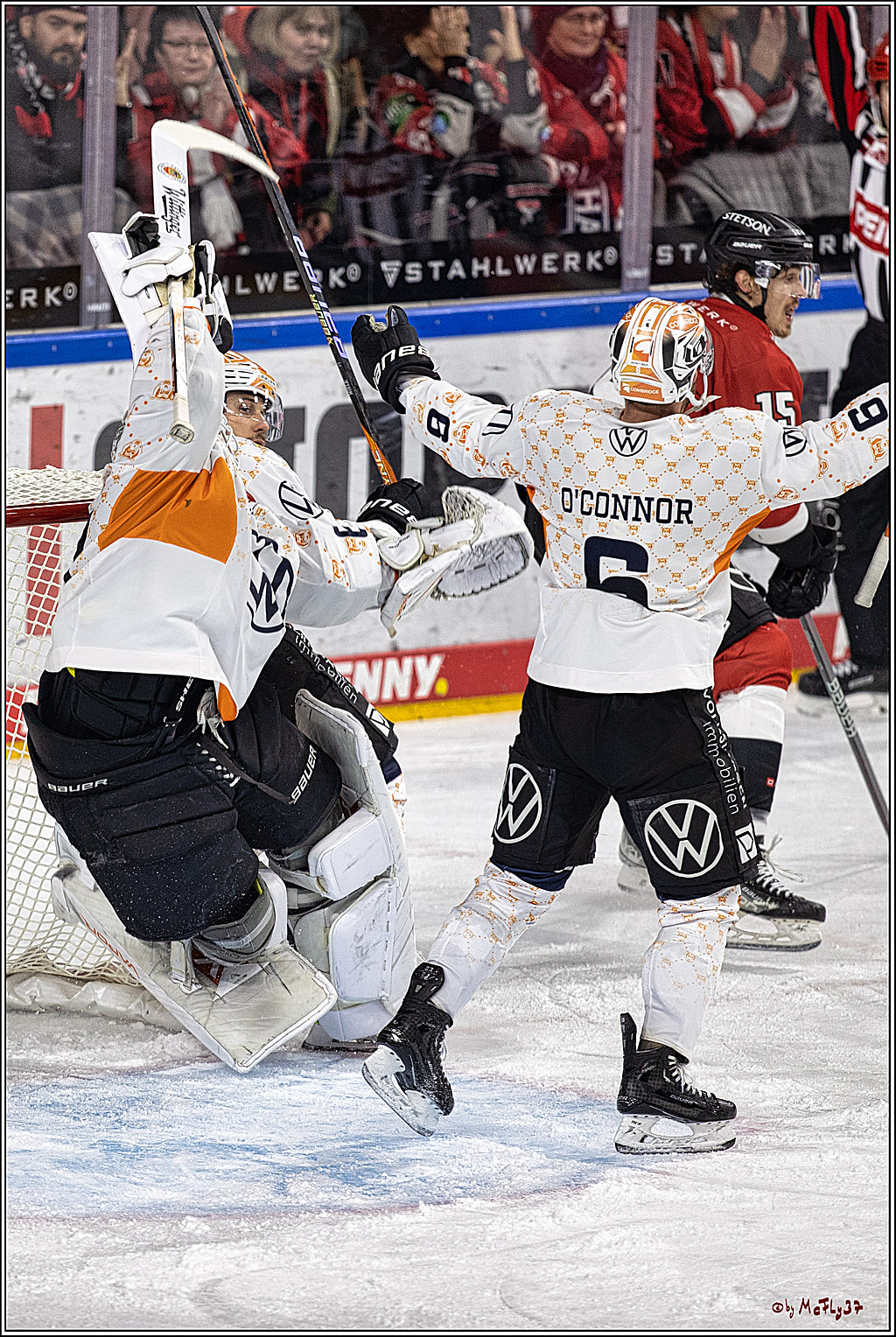 PENNY DEL 1. Koelner Haie - Grizzlys Wolfsburg; Koeln, 28.11.2023