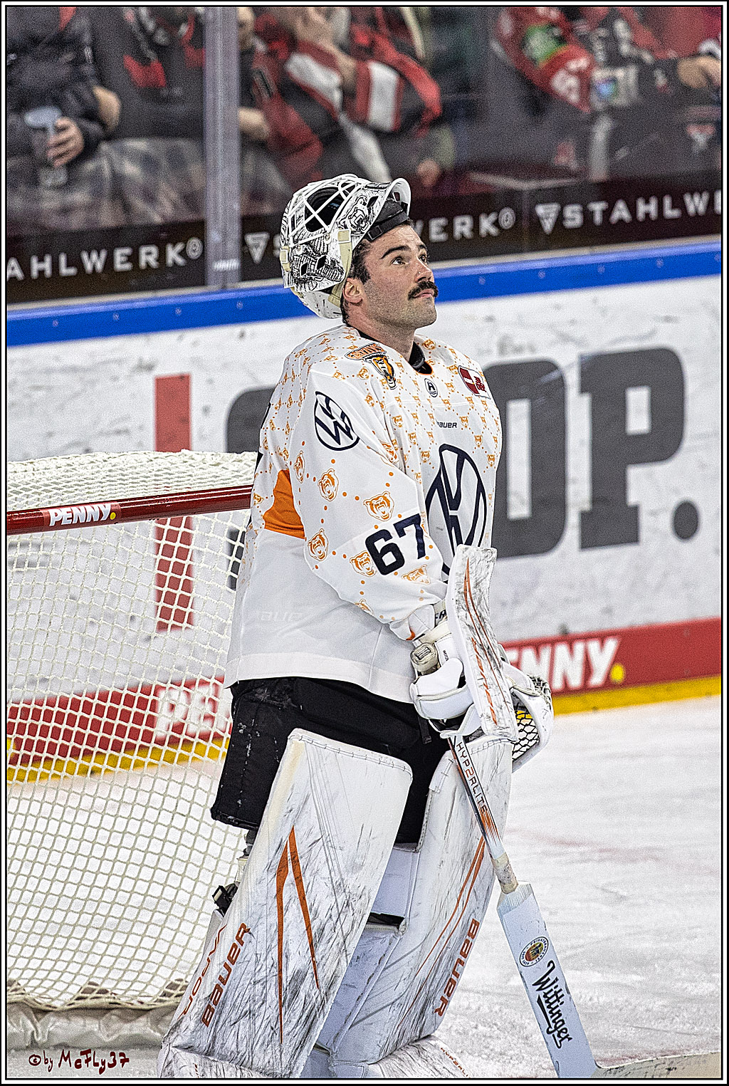 PENNY DEL 1. Koelner Haie - Grizzlys Wolfsburg; Koeln, 28.11.2023