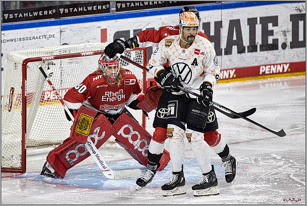 PENNY DEL 1. Koelner Haie - Grizzlys Wolfsburg; Koeln, 28.11.2023