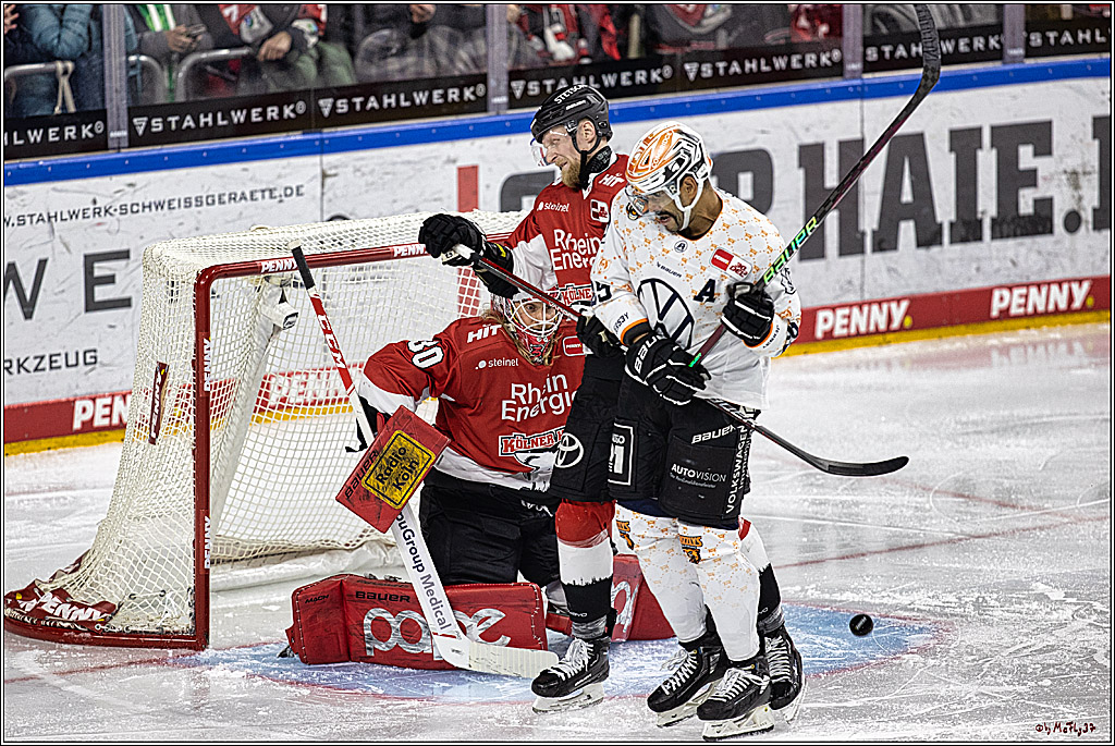 PENNY DEL 1. Koelner Haie - Grizzlys Wolfsburg; Koeln, 28.11.2023