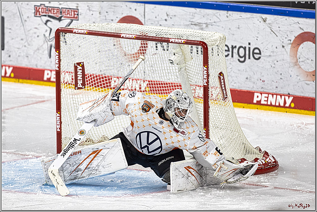 PENNY DEL 1. Koelner Haie - Grizzlys Wolfsburg; Koeln, 28.11.2023