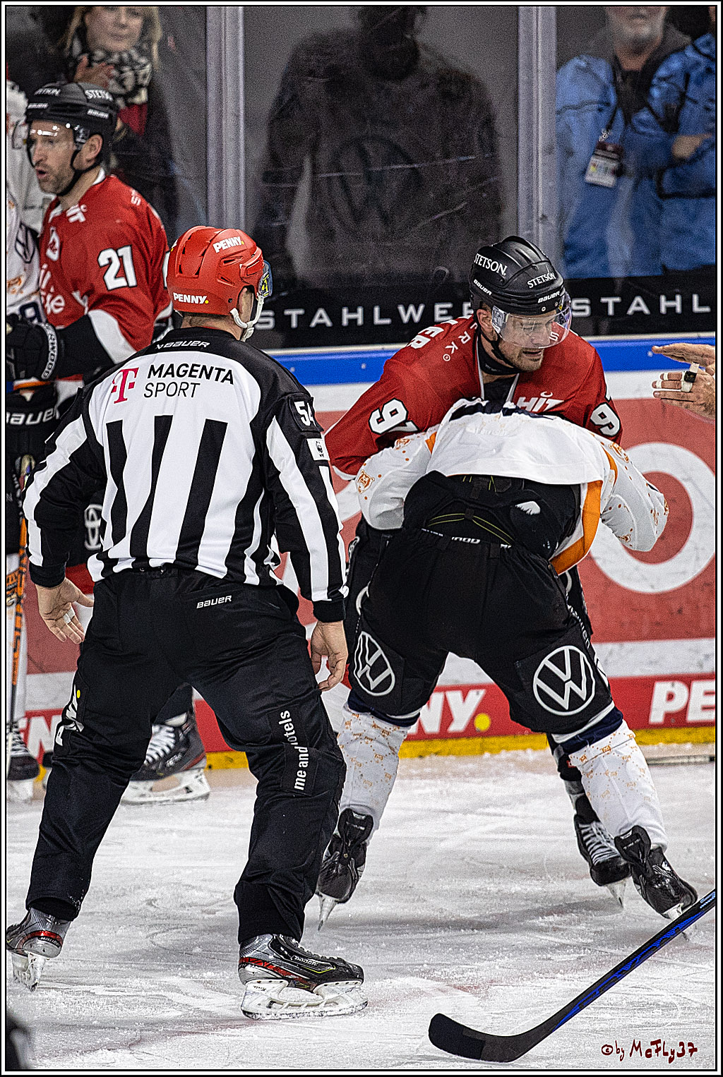 PENNY DEL 1. Koelner Haie - Grizzlys Wolfsburg; Koeln, 28.11.2023