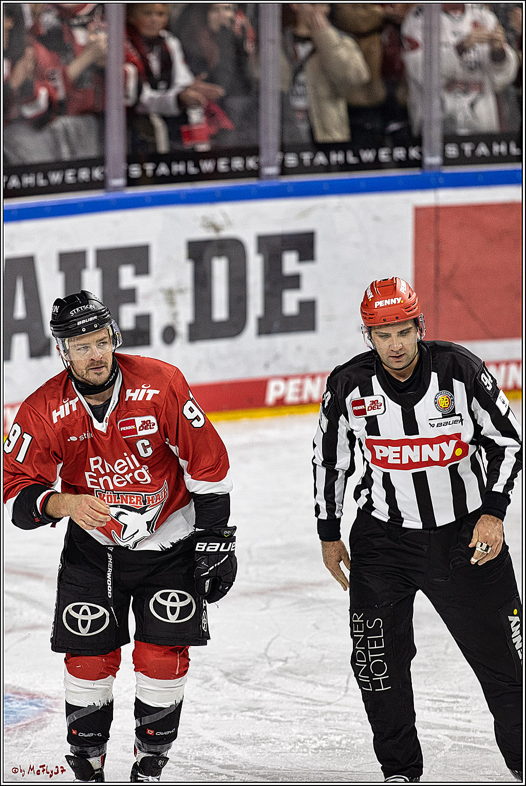 PENNY DEL 1. Koelner Haie - Grizzlys Wolfsburg; Koeln, 28.11.2023