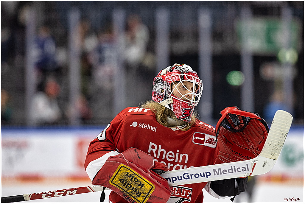 PENNY DEL 1. Koelner Haie - Grizzlys Wolfsburg; Koeln, 28.11.2023
