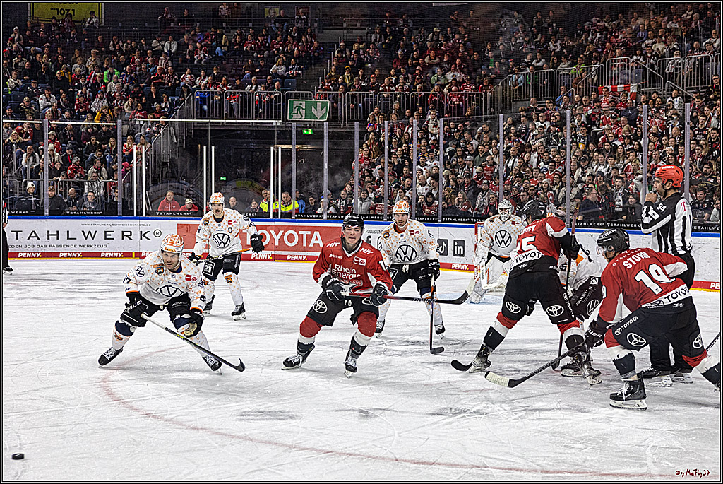 PENNY DEL 1. Koelner Haie - Grizzlys Wolfsburg; Koeln, 28.11.2023