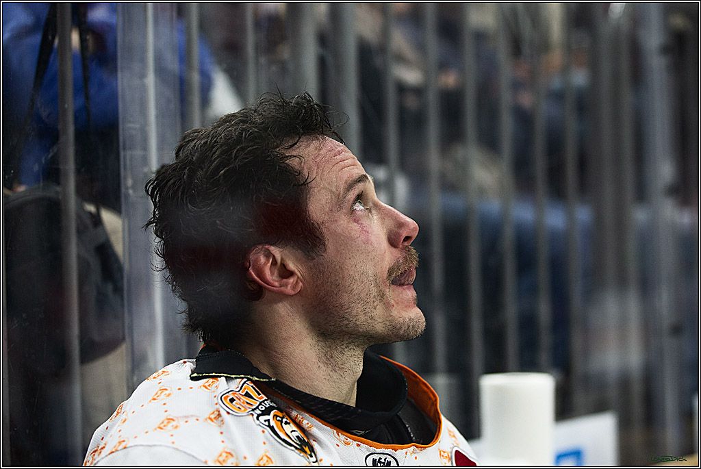 PENNY DEL; Koelner Haie- Grizzly Wolfsburg; Koeln, 28.11.2023