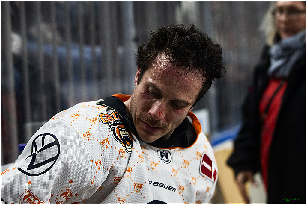 PENNY DEL; Koelner Haie- Grizzly Wolfsburg; Koeln, 28.11.2023