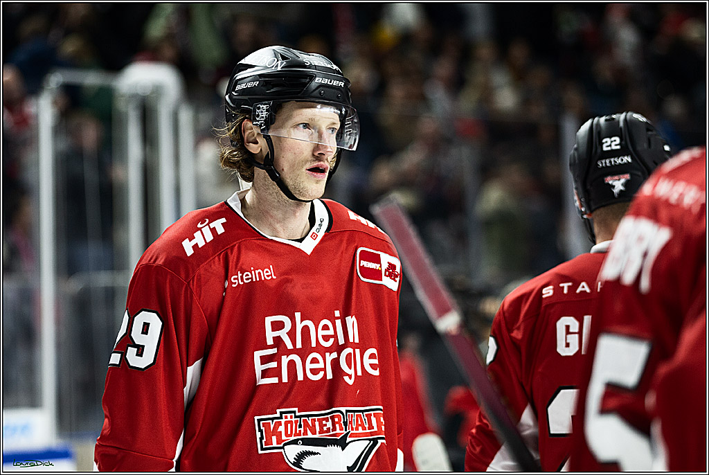 PENNY DEL; Koelner Haie- Grizzly Wolfsburg; Koeln, 28.11.2023