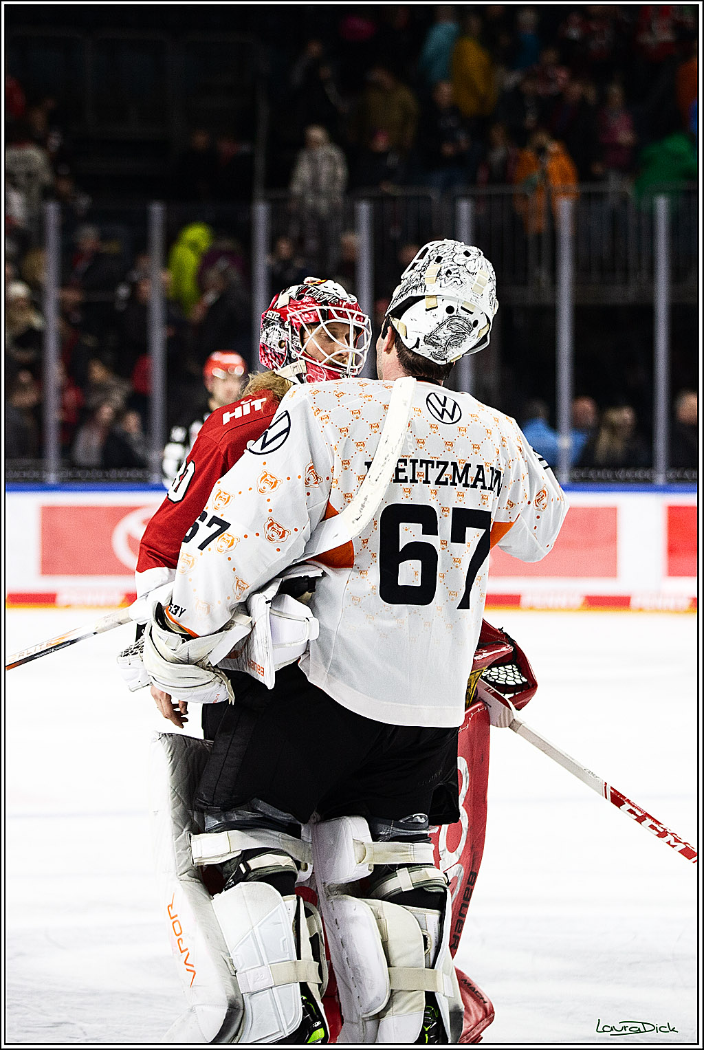 PENNY DEL; Koelner Haie- Grizzly Wolfsburg; Koeln, 28.11.2023