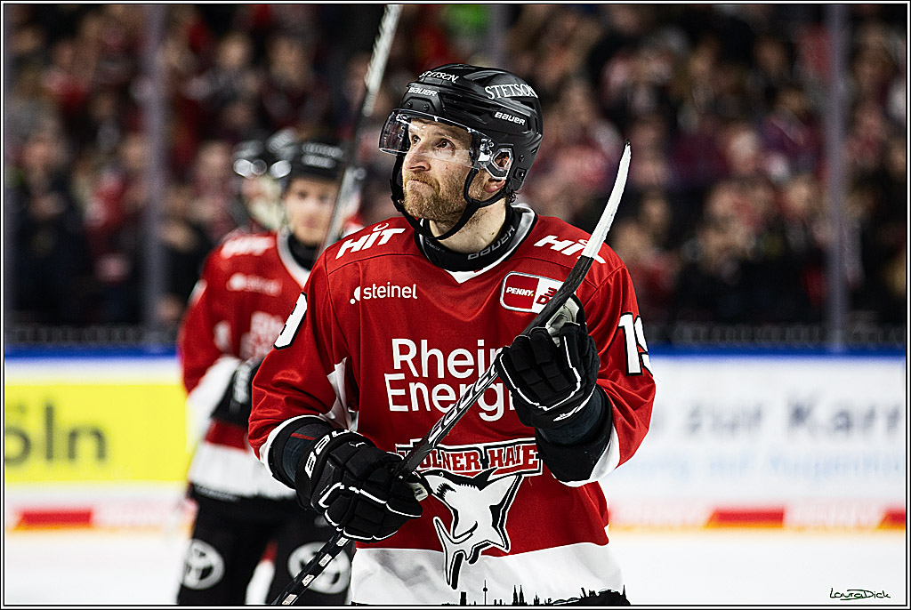 PENNY DEL; Koelner Haie- Grizzly Wolfsburg; Koeln, 28.11.2023