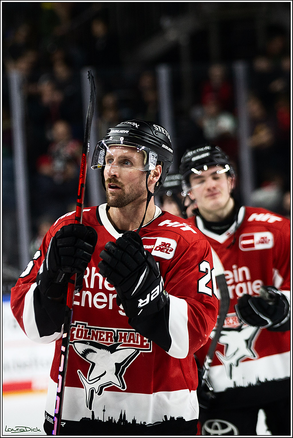 PENNY DEL; Koelner Haie- Grizzly Wolfsburg; Koeln, 28.11.2023