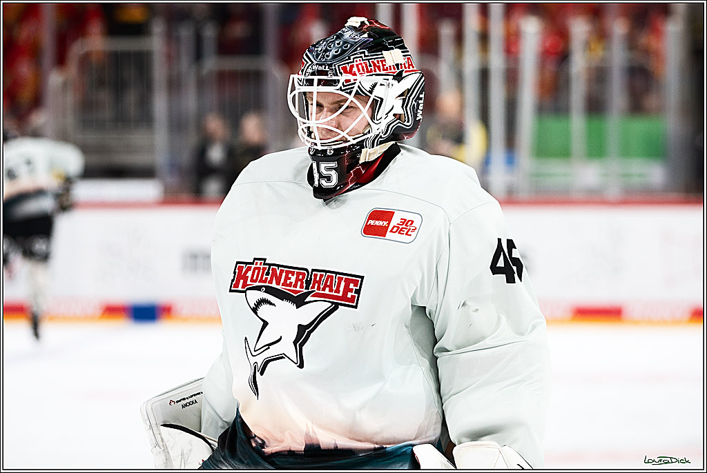 PENNY DEL; Duesseldorfer EG- Koelner Haie; Duesseldorf, 03.12.2023