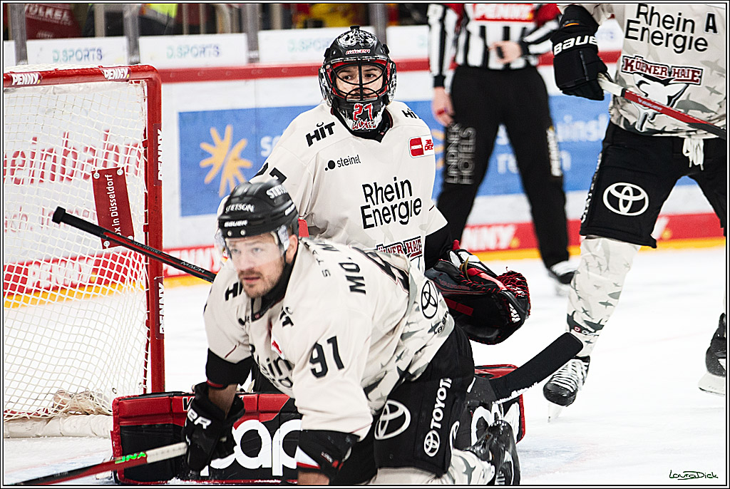 PENNY DEL; Duesseldorfer EG- Koelner Haie; Duesseldorf, 03.12.2023
