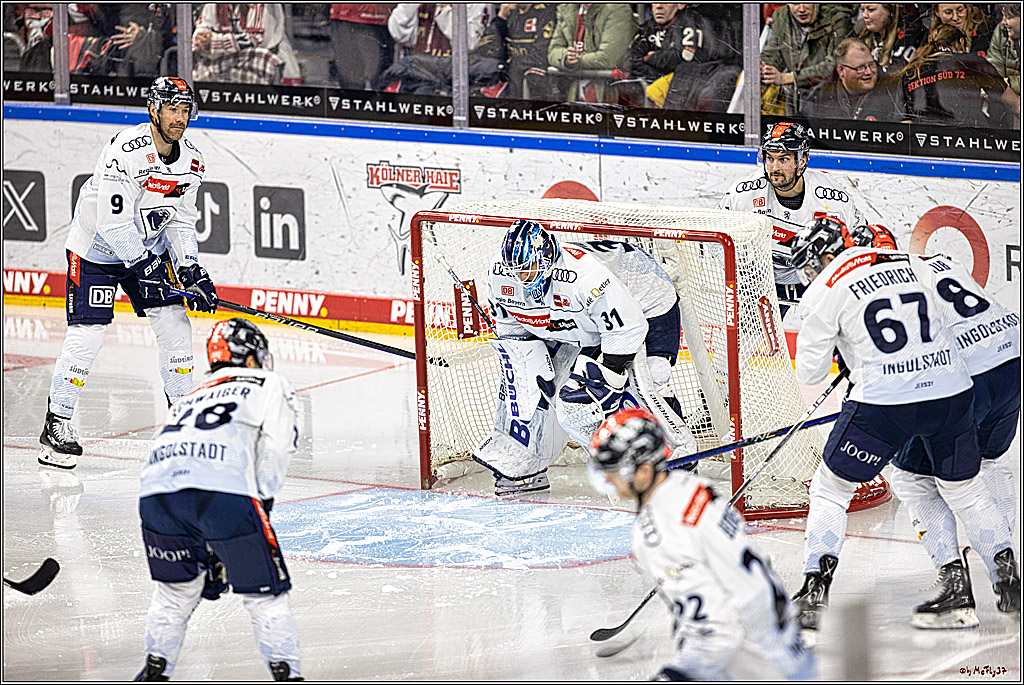 PENNY DEL 1, Koelner Haie - ERC Ingolstadt; Köln, 07.12.2023