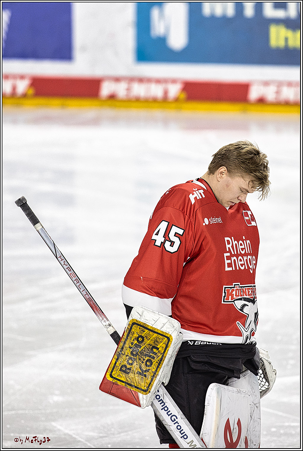 PENNY DEL 1, Koelner Haie - ERC Ingolstadt; Köln, 07.12.2023