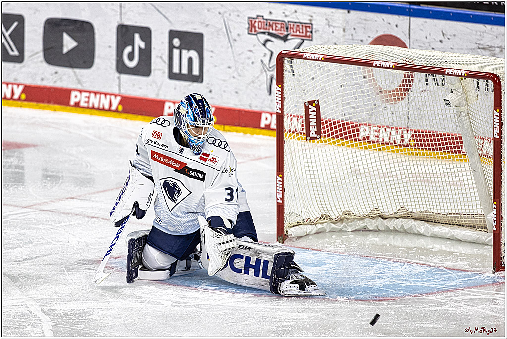 PENNY DEL 1, Koelner Haie - ERC Ingolstadt; Köln, 07.12.2023