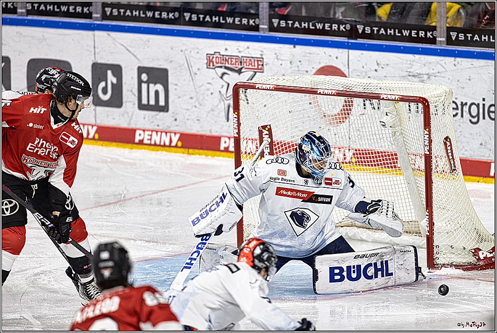 PENNY DEL 1, Koelner Haie - ERC Ingolstadt; Köln, 07.12.2023