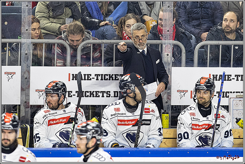 PENNY DEL 1, Koelner Haie - ERC Ingolstadt; Köln, 07.12.2023
