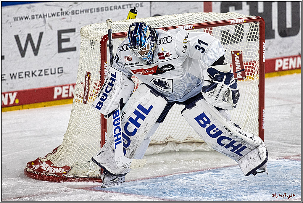 PENNY DEL 1, Koelner Haie - ERC Ingolstadt; Köln, 07.12.2023