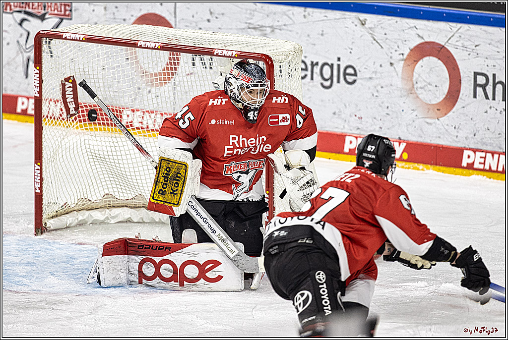 PENNY DEL 1, Koelner Haie - ERC Ingolstadt; Köln, 07.12.2023