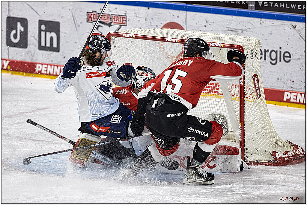 PENNY DEL 1, Koelner Haie - ERC Ingolstadt; Köln, 07.12.2023