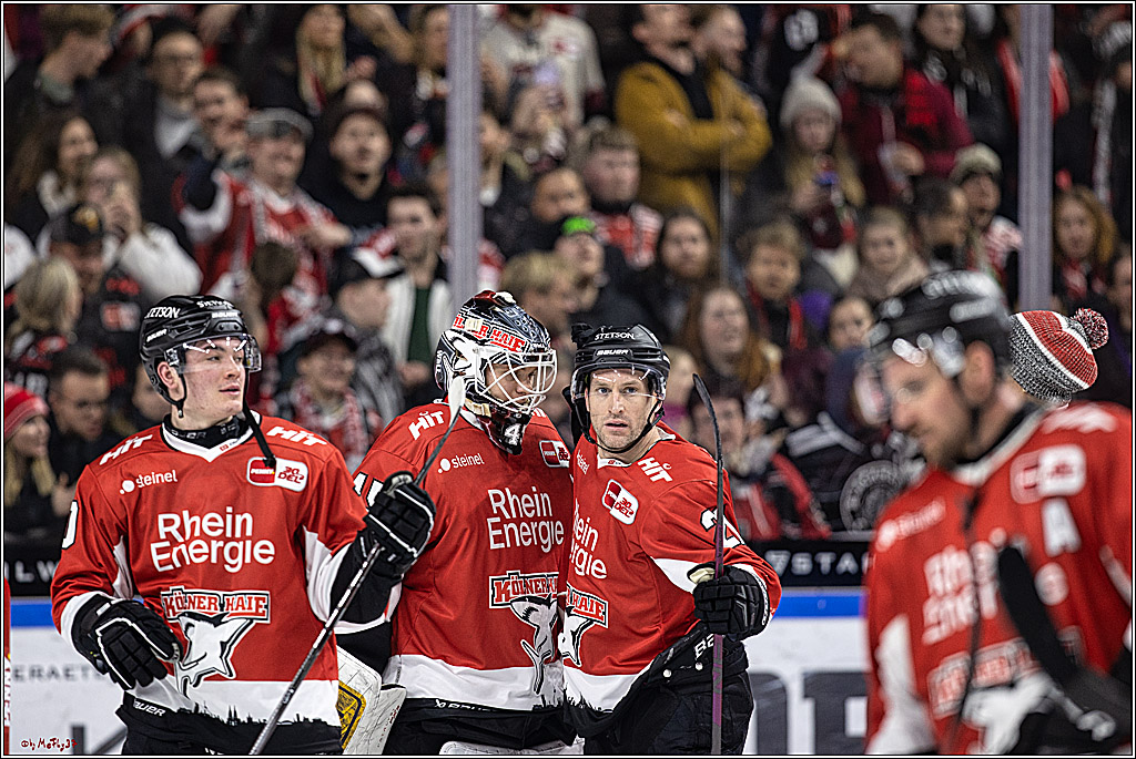 PENNY DEL 1, Koelner Haie - ERC Ingolstadt; Köln, 07.12.2023