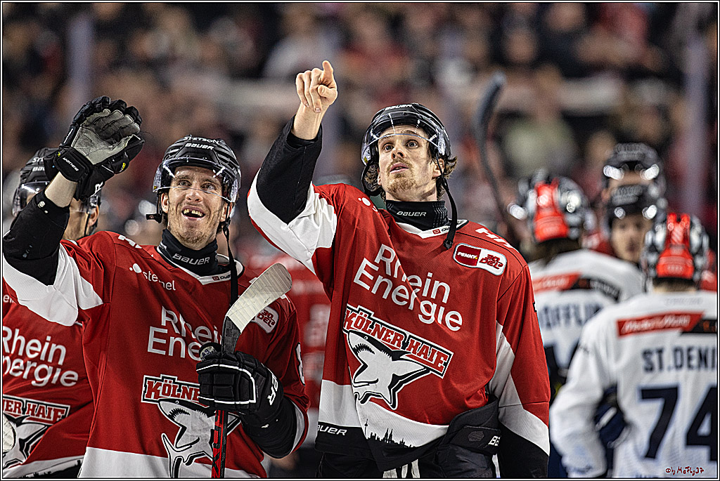 PENNY DEL 1, Koelner Haie - ERC Ingolstadt; Köln, 07.12.2023