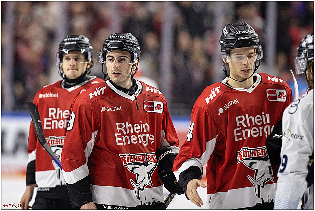 PENNY DEL 1, Koelner Haie - ERC Ingolstadt; Köln, 07.12.2023