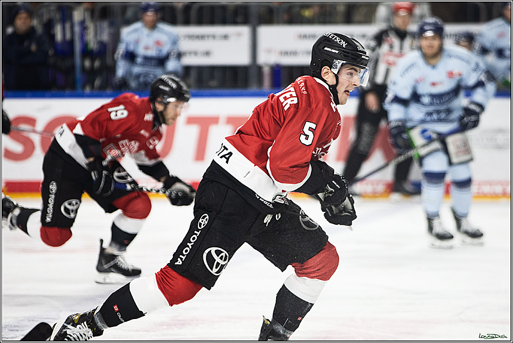 PENNY DEL; Koelner Haie- Straubing Tigers; Koeln, 15.12.2023