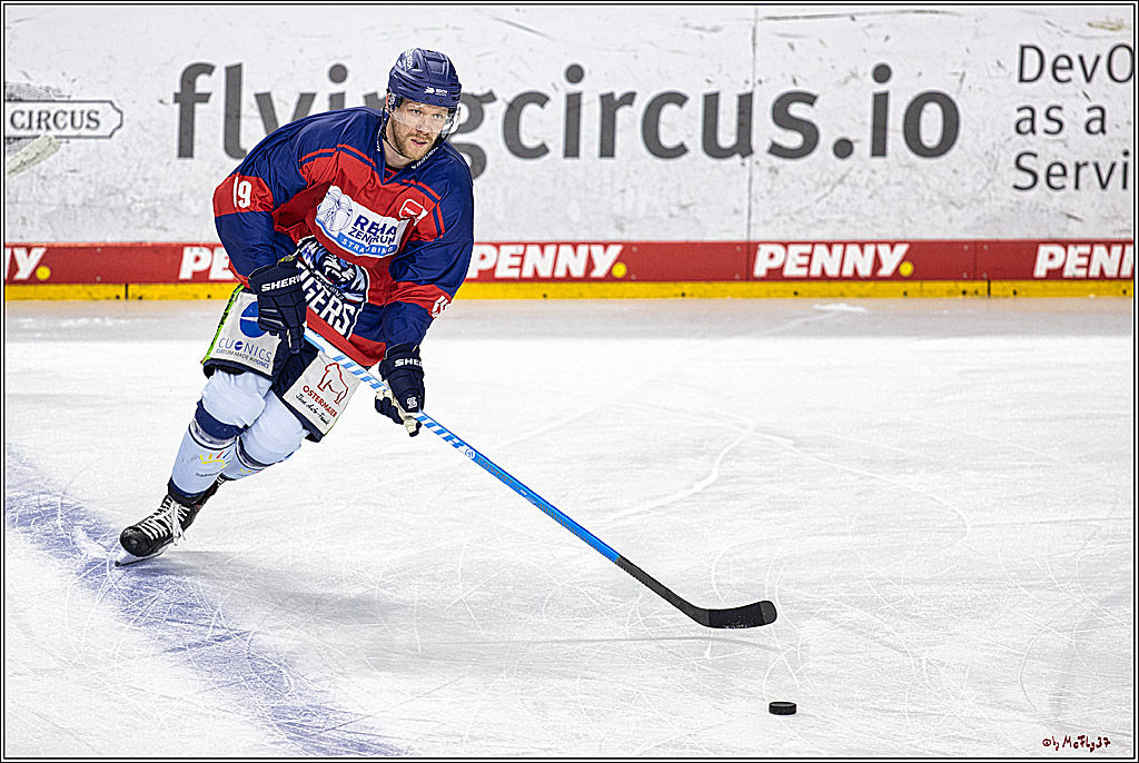 PENNY DEL 1. Koelner Haie - Straubing Tigers; Koeln, 15.12.2023