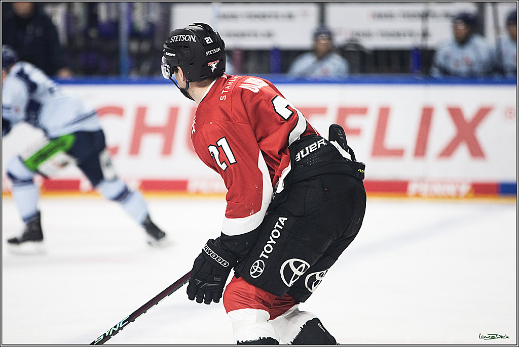PENNY DEL; Koelner Haie- Straubing Tigers; Koeln, 15.12.2023