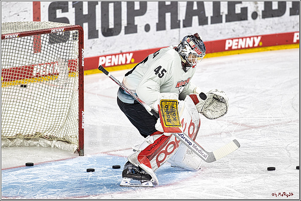 PENNY DEL 1. Koelner Haie - Straubing Tigers; Koeln, 15.12.2023