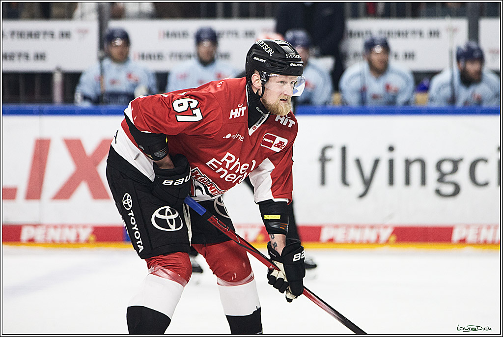 PENNY DEL; Koelner Haie- Straubing Tigers; Koeln, 15.12.2023