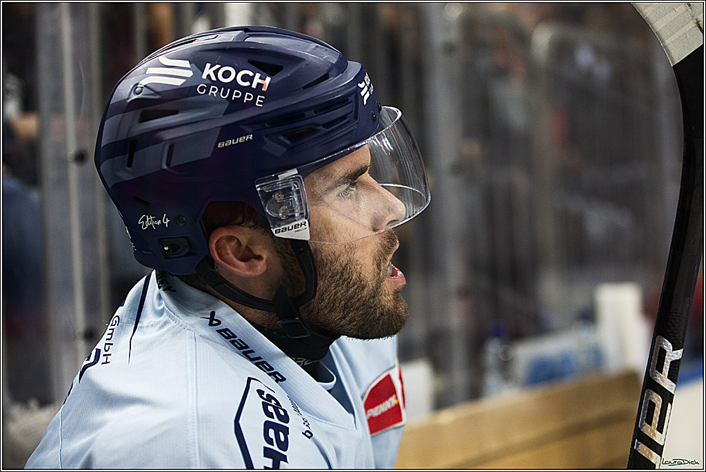 PENNY DEL; Koelner Haie- Straubing Tigers; Koeln, 15.12.2023