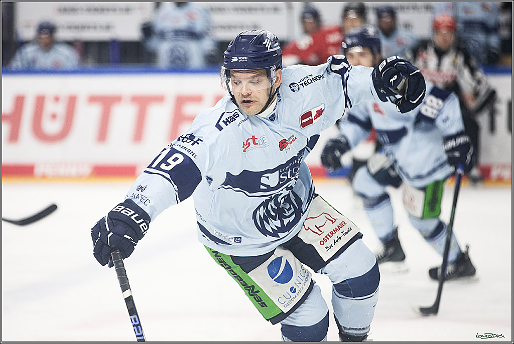 PENNY DEL; Koelner Haie- Straubing Tigers; Koeln, 15.12.2023