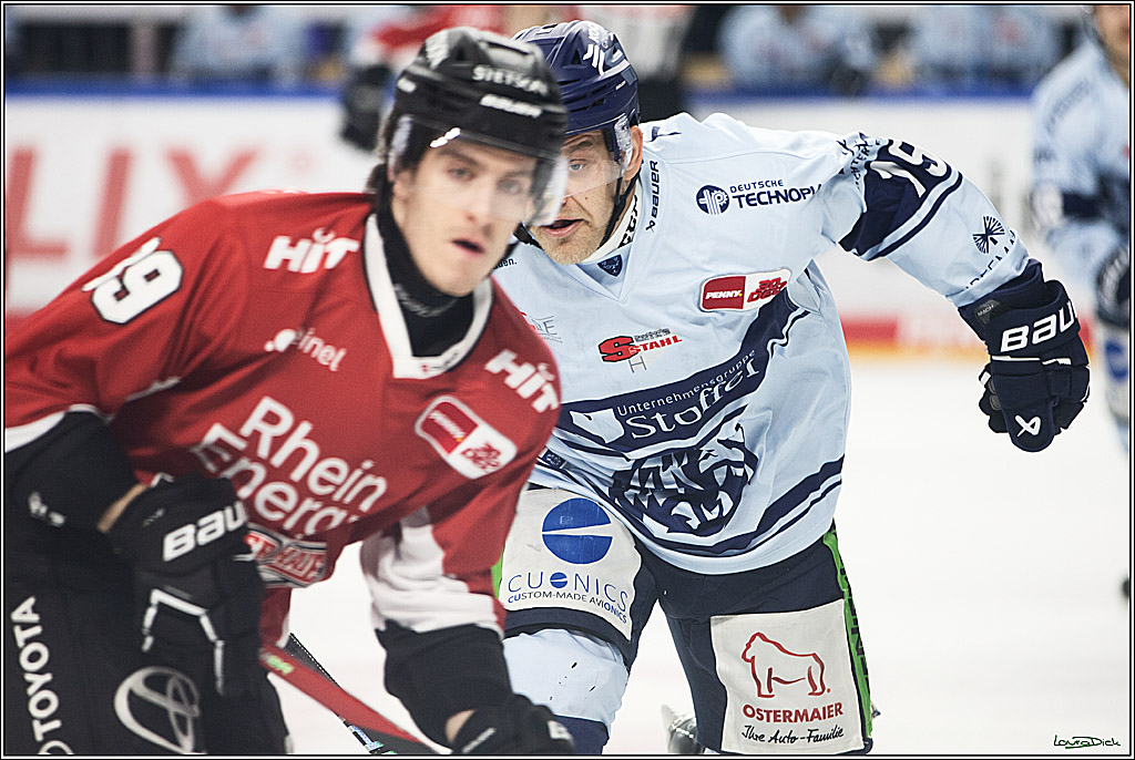 PENNY DEL; Koelner Haie- Straubing Tigers; Koeln, 15.12.2023