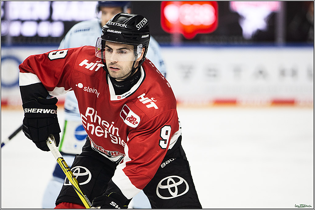 PENNY DEL; Koelner Haie- Straubing Tigers; Koeln, 15.12.2023