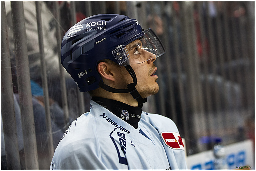 PENNY DEL; Koelner Haie- Straubing Tigers; Koeln, 15.12.2023