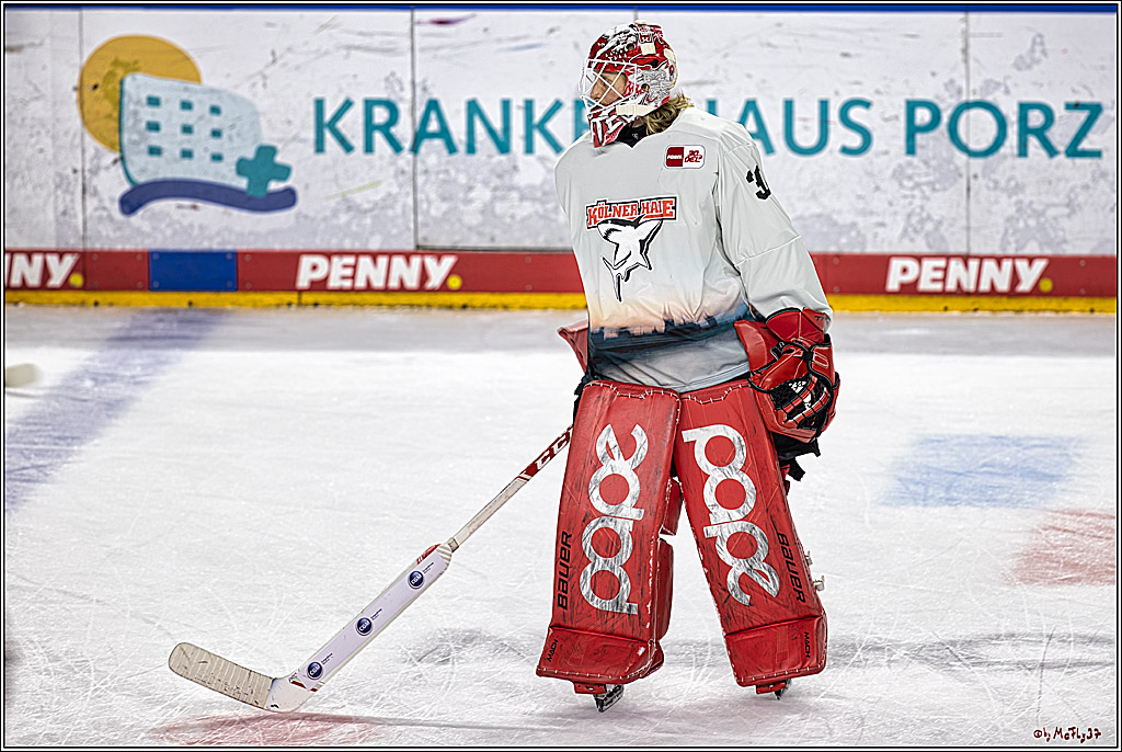 PENNY DEL 1. Koelner Haie - Straubing Tigers; Koeln, 15.12.2023