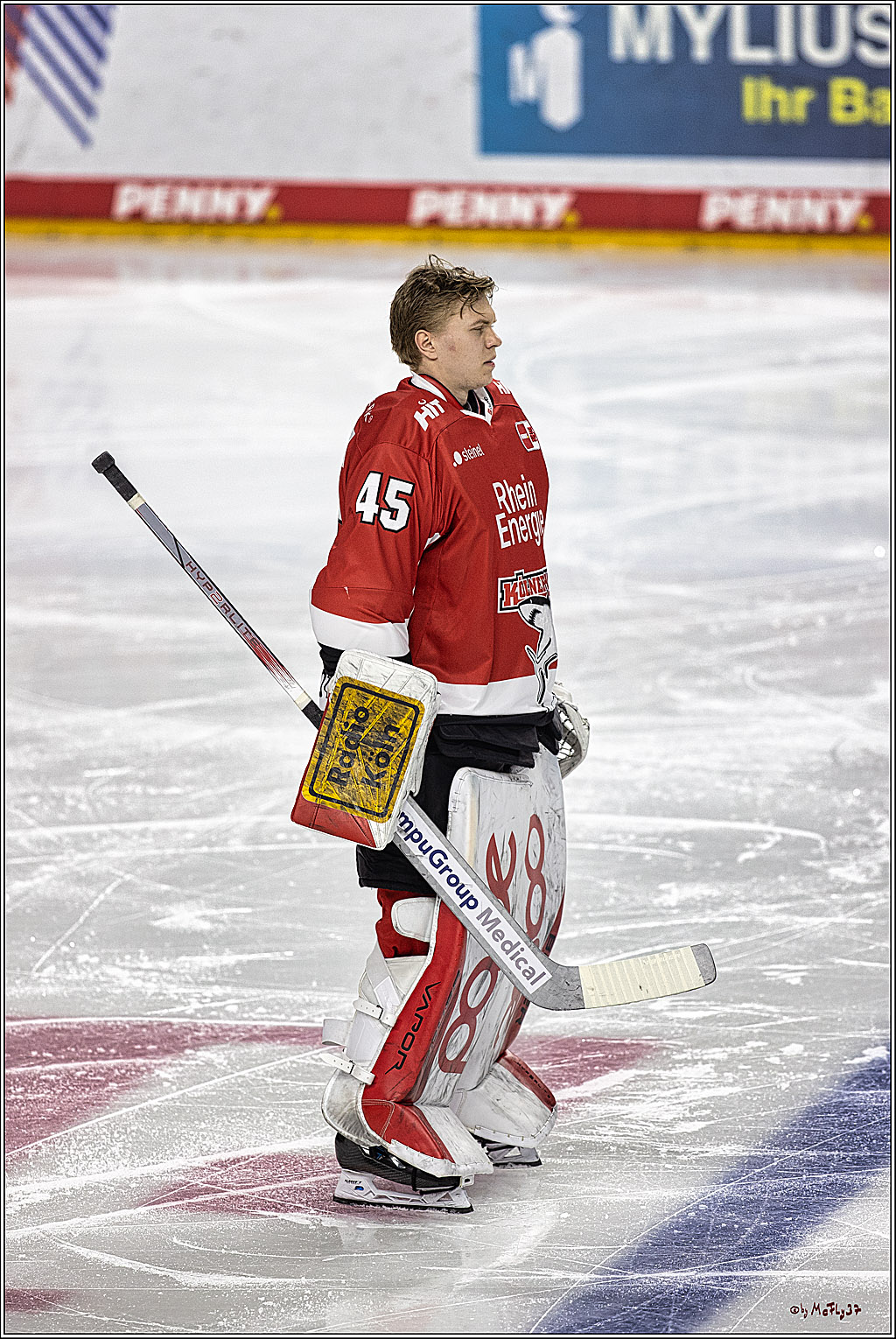 PENNY DEL 1. Koelner Haie - Straubing Tigers; Koeln, 15.12.2023