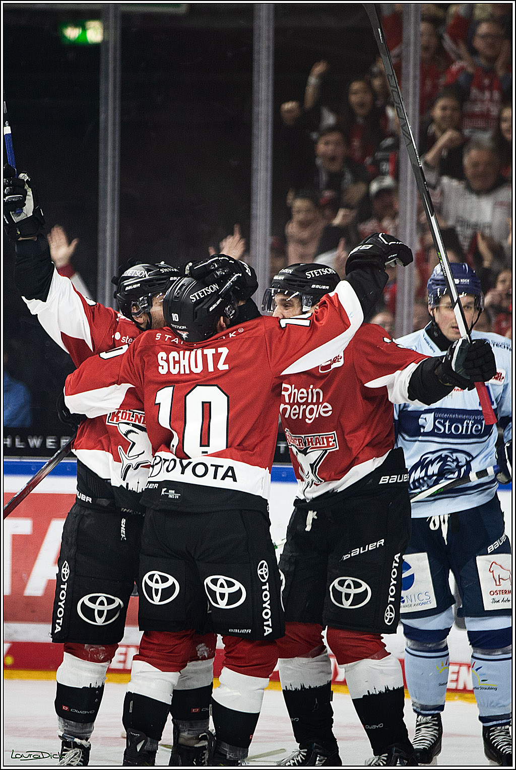 PENNY DEL; Koelner Haie- Straubing Tigers; Koeln, 15.12.2023