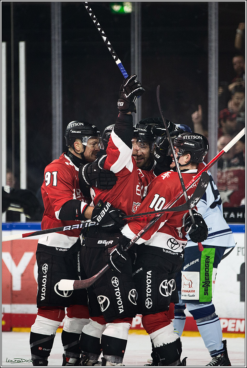 PENNY DEL; Koelner Haie- Straubing Tigers; Koeln, 15.12.2023