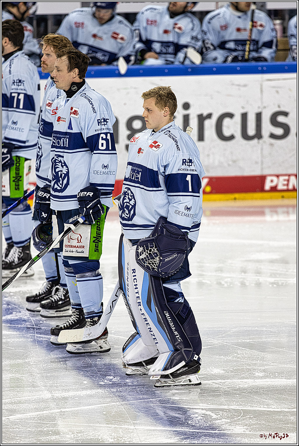 PENNY DEL 1. Koelner Haie - Straubing Tigers; Koeln, 15.12.2023