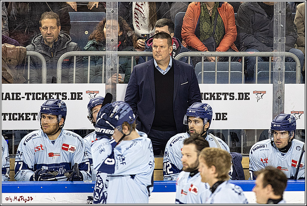 PENNY DEL 1. Koelner Haie - Straubing Tigers; Koeln, 15.12.2023
