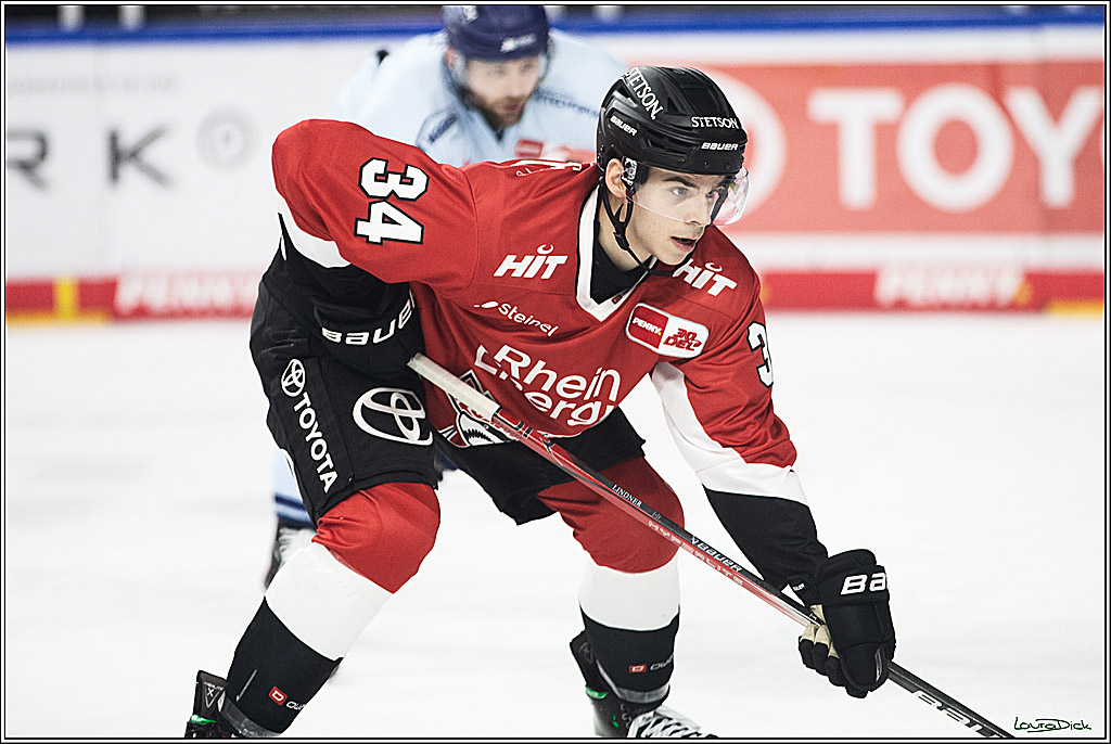 PENNY DEL; Koelner Haie- Straubing Tigers; Koeln, 15.12.2023