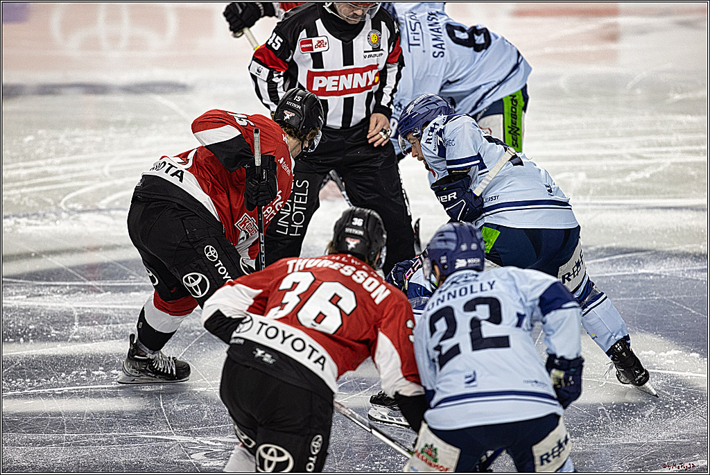 PENNY DEL 1. Koelner Haie - Straubing Tigers; Koeln, 15.12.2023