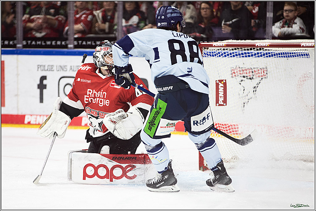 PENNY DEL; Koelner Haie- Straubing Tigers; Koeln, 15.12.2023