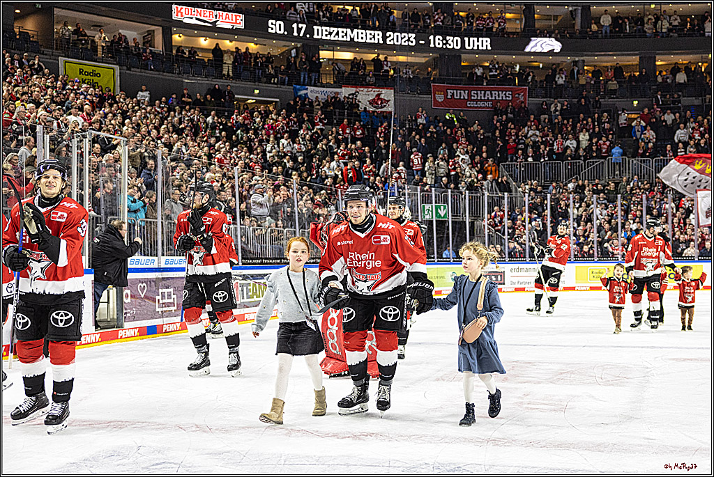 PENNY DEL 1. Koelner Haie - Straubing Tigers; Koeln, 15.12.2023