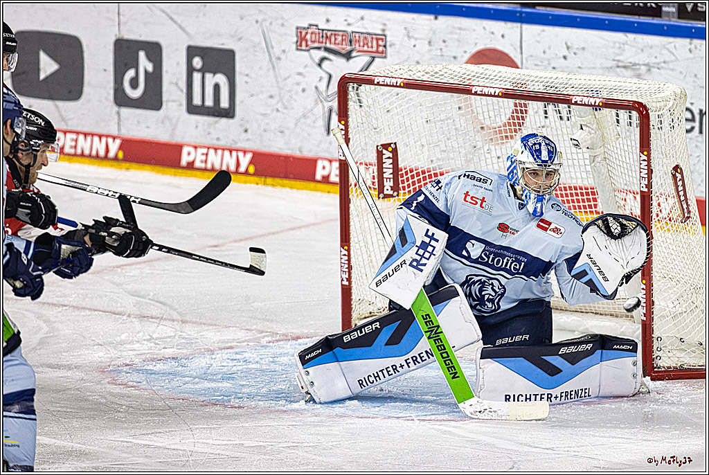 PENNY DEL 1. Koelner Haie - Straubing Tigers; Koeln, 15.12.2023
