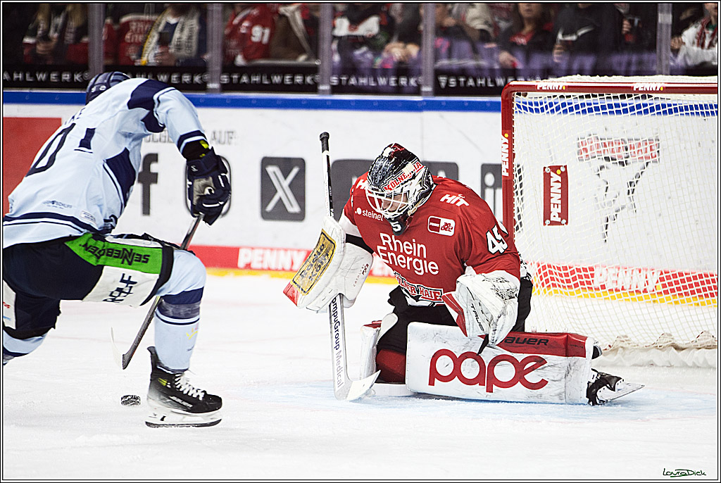 PENNY DEL; Koelner Haie- Straubing Tigers; Koeln, 15.12.2023